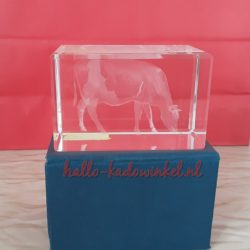 3D glazenblok decoratie koe