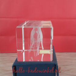 3D glazenblok decoratie koe