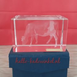 3D glazenblok decoratie koe