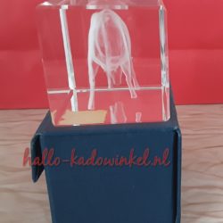 3D glazenblok decoratie koe