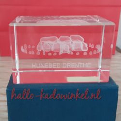 3D glazenblok decoratie hunebed