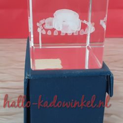 3D glazenblok decoratie hunebed