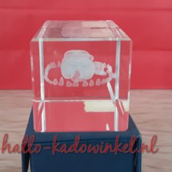 3D glazenblok decoratie hunebed