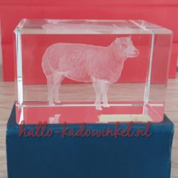 3D glazenblok decoratie schaap
