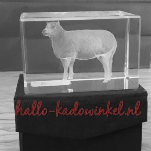 3D glazenblok decoratie schaap