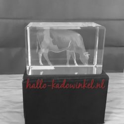 3D glazenblok decoratie koe