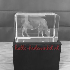 3D glazenblok decoratie koe