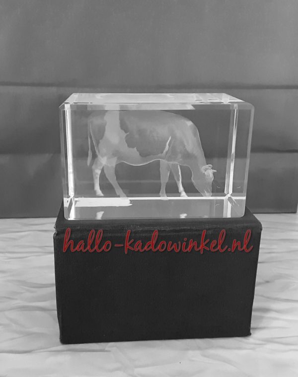3D glazenblok decoratie koe