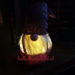 Kerst Gnome