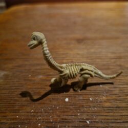 Dig it out dino - Afbeelding 4