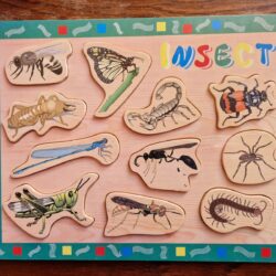 Houten puzzel insecten