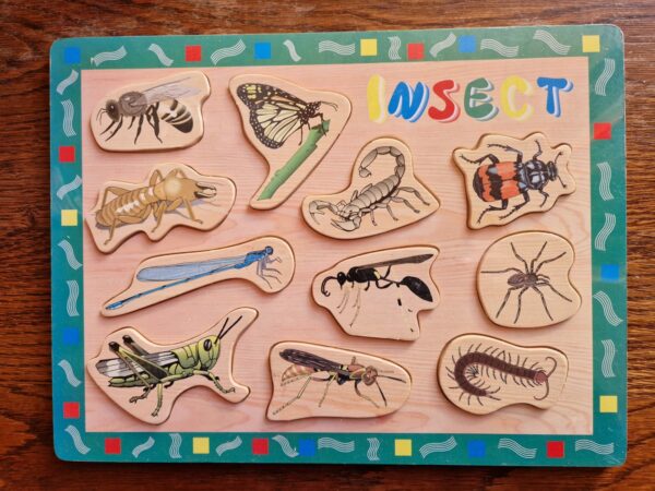 Houten puzzel insecten