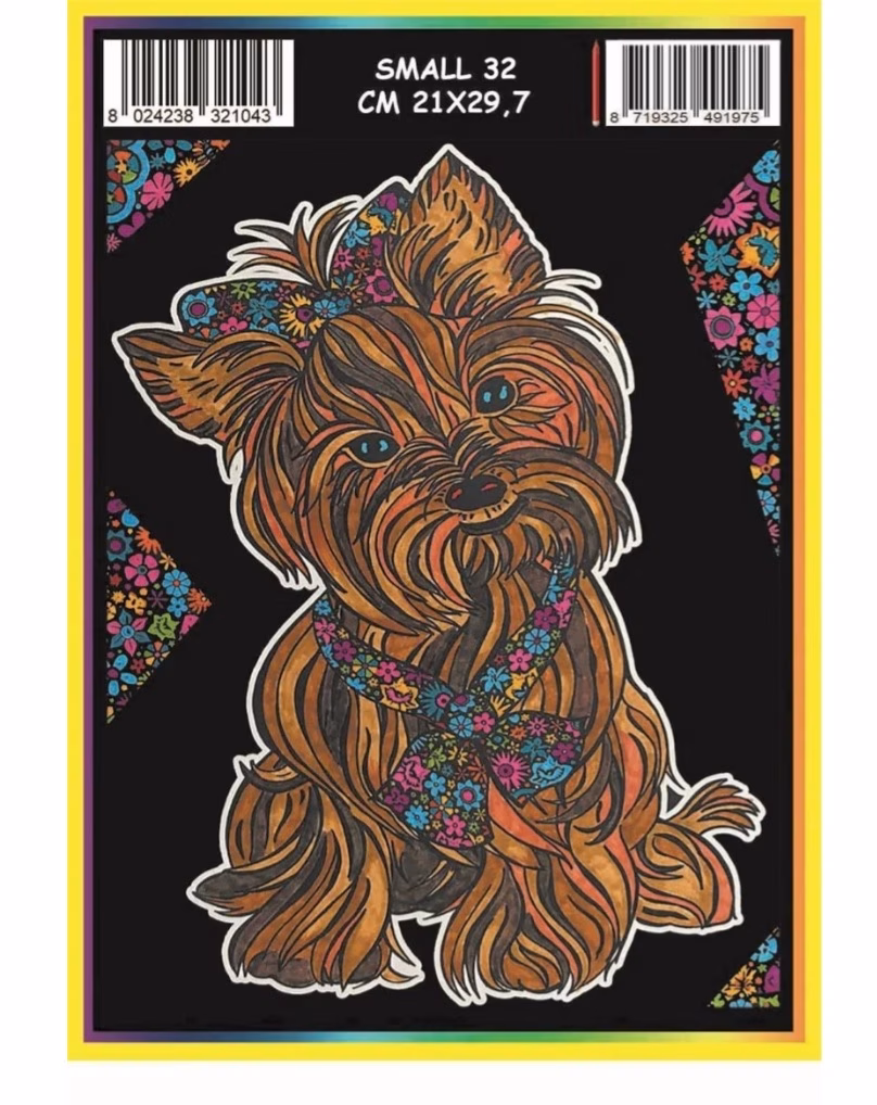 Yorkshire Terrier zonder stiften
