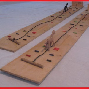 Paardenrace