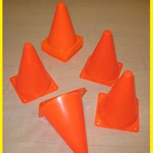 Pionnen 10 stuks